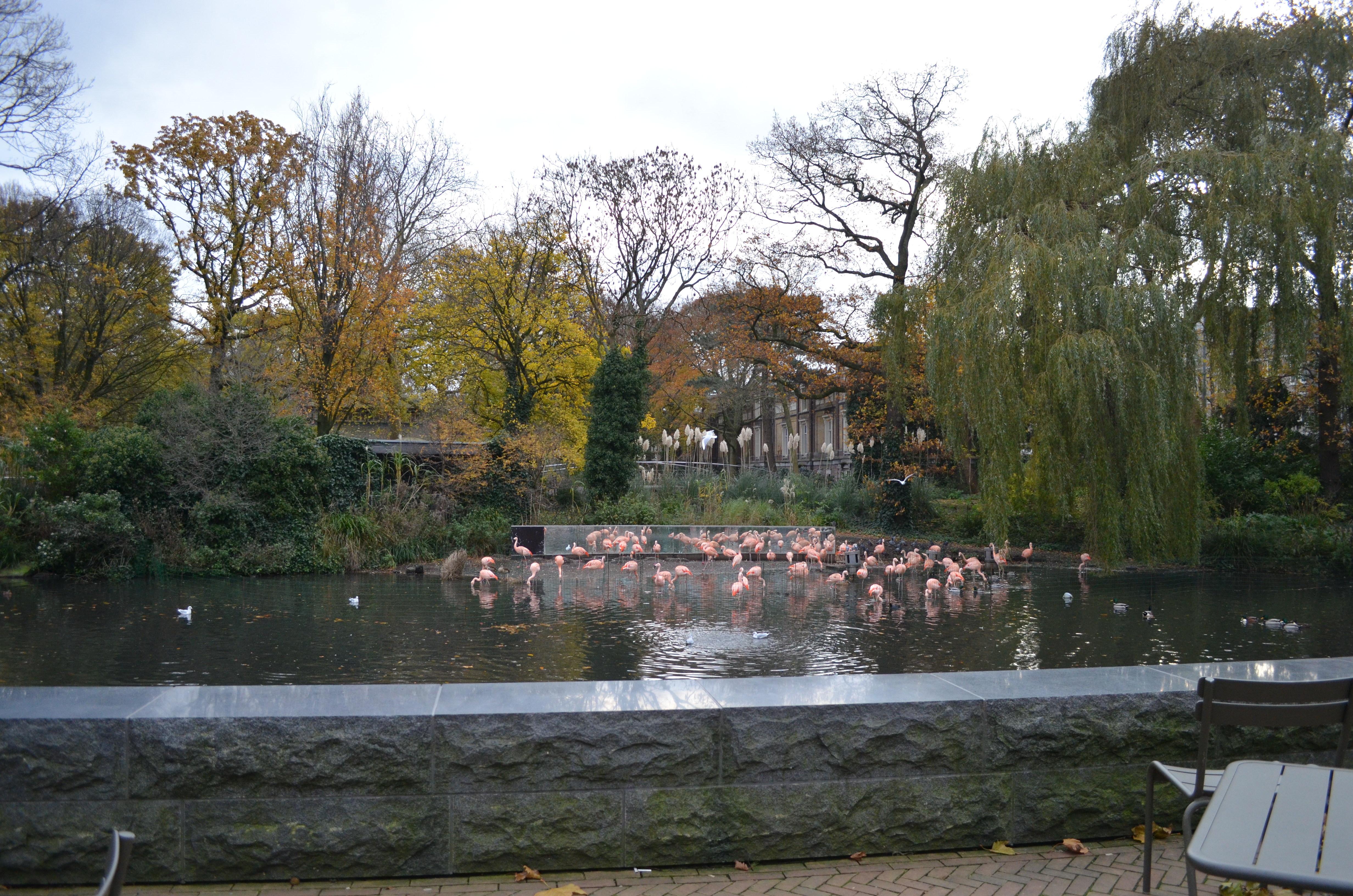 ./2017/19 - Viking Lif/13 - Amsterdam, The Netherlands/DSC_0667.JPG